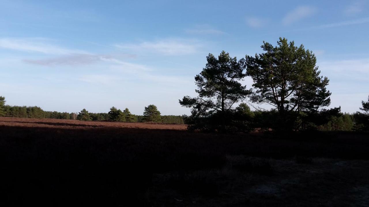 Ferienhaeuser Pannier I Und Oder II Gartow Zewnętrze zdjęcie